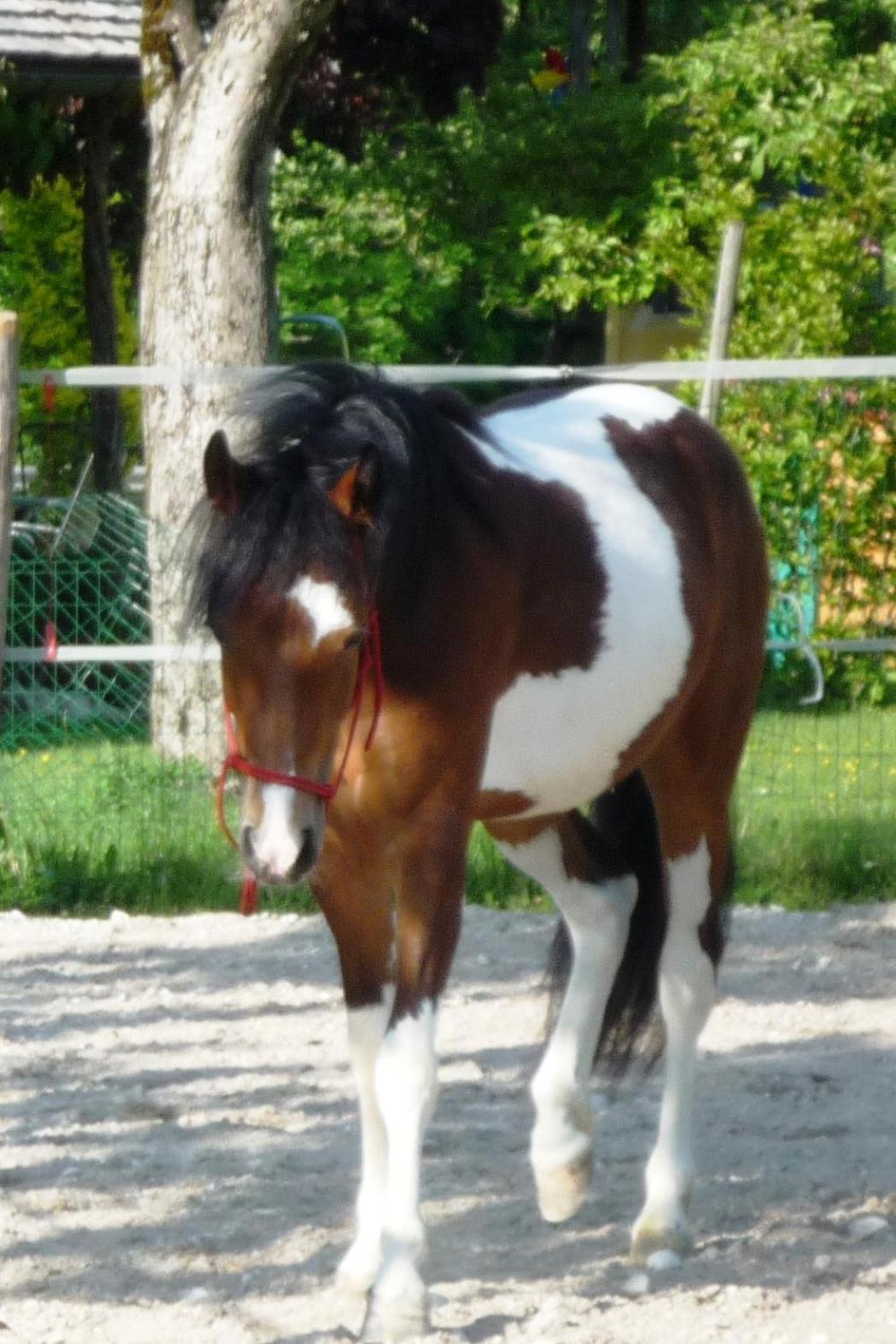 Unterfuehrholzergut Prázdninový dům *
