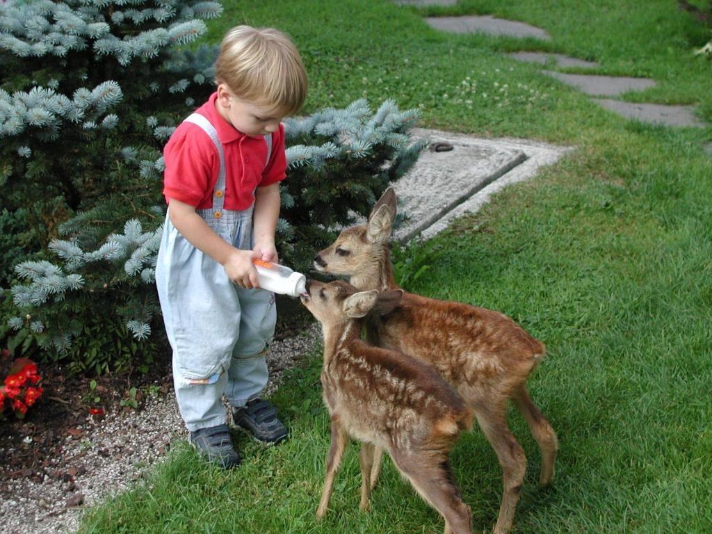 Unterfuehrholzergut Prázdninový dům *